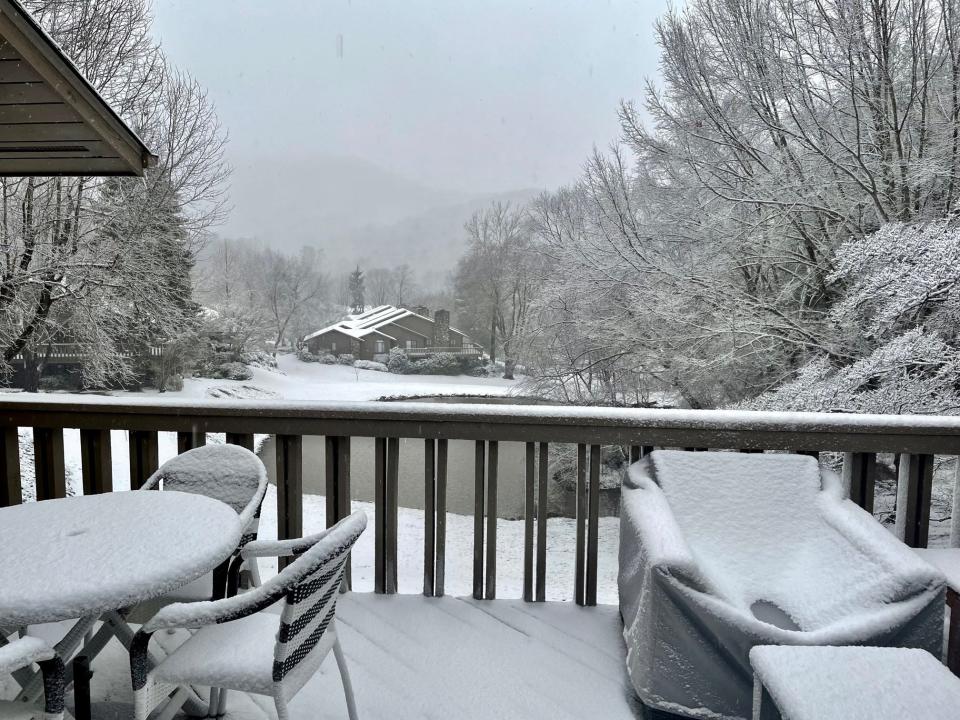 Snow blankets the landscape off Beaverdam Road in North Asheville on Jan. 3, 2022.