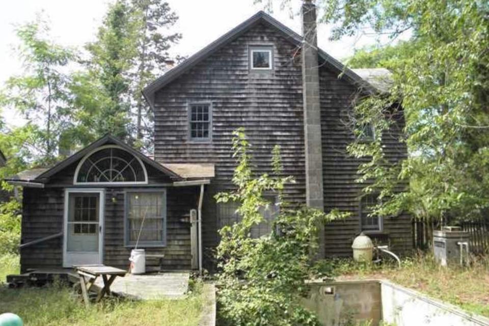 Before image of pool with overgrown foliage