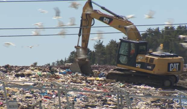 Clear Garbage Bags, Curb It St. John's