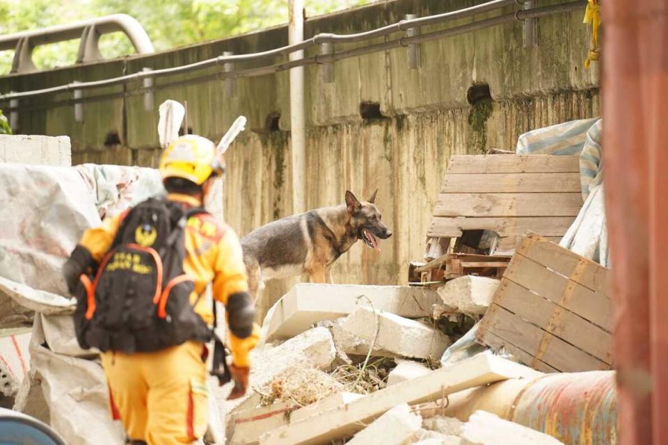 搜救犬平時的訓練，幫助牠適應救災時各種不利的地形。圖／台北市搜救隊提供