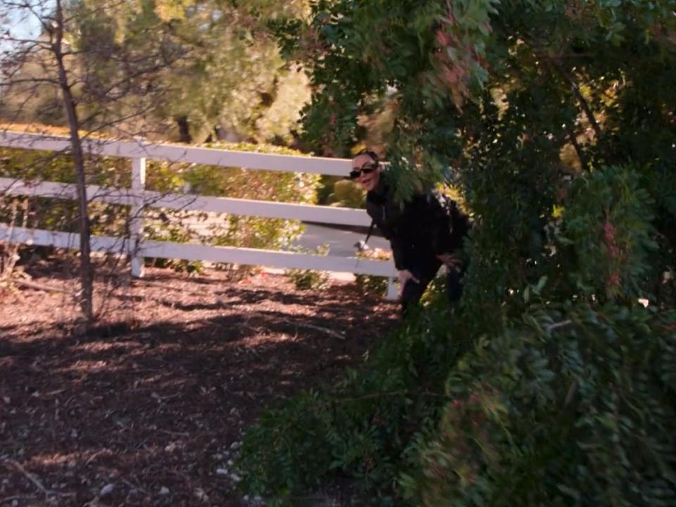 kim kardashian in an all-black outfit and sunglasses peeking out from behind a cluster of leaves in a park