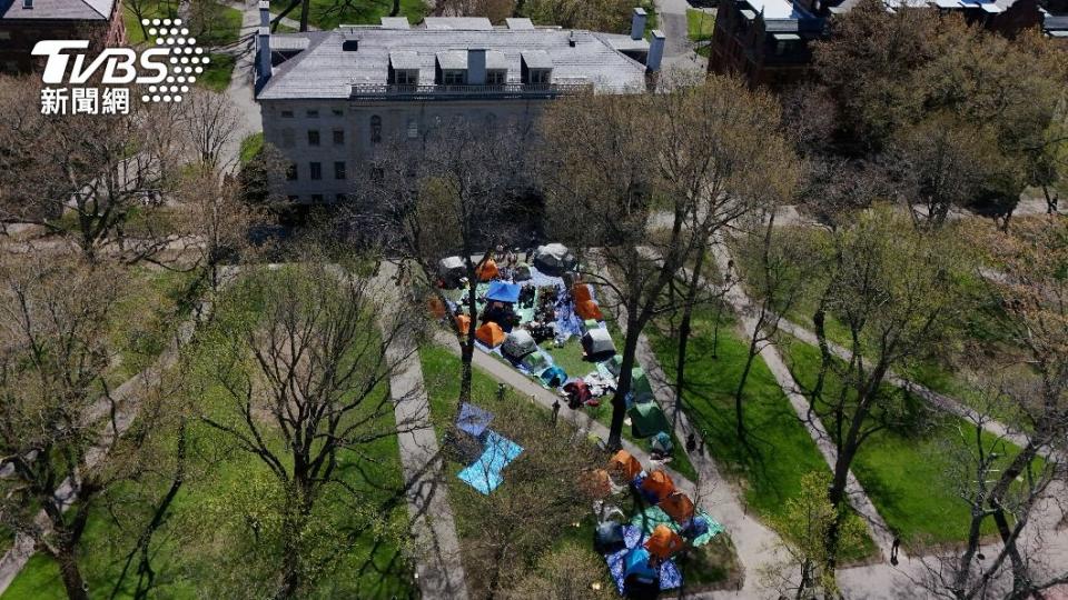 示威者在哈佛大學（Harvard University）搭建帳篷。（圖／達志影像路透社）