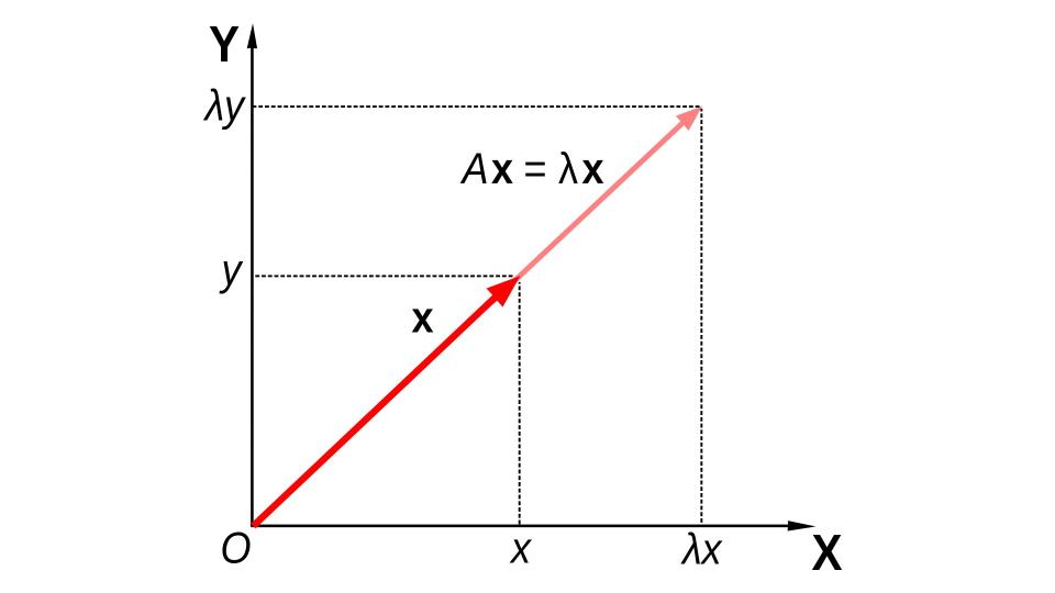 Diagram of a detailing that a vector is an eigenvector of the matrix.