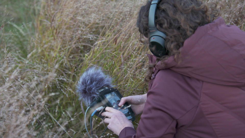 Sound artist Mikki Lindt creates a portrait in sound of the surrounding environment, using microphones placed underground or underwater.  / Credit: CBS News