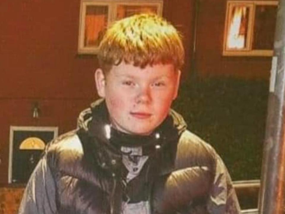 Alfie was described as ‘kind and caring’ by family and friends after he was stabbed to death in November last year (Kayla Robinson)