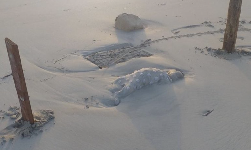 A toddler's body embedded in the sand after washing up on a beach in Libya.