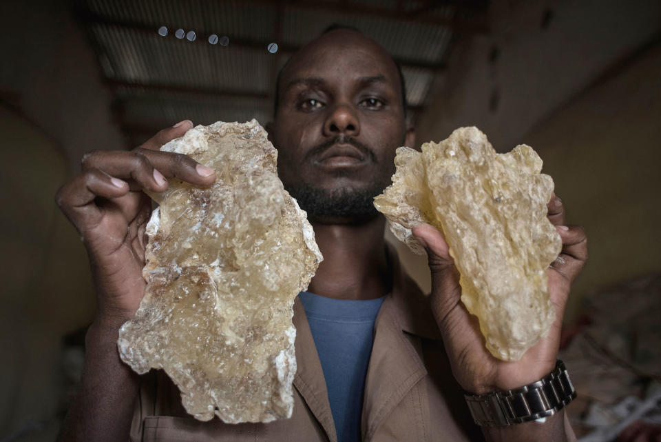 The world’s last wild frankincense forests