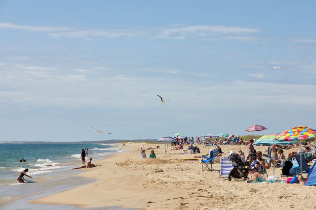 <p>Elizabeth Cecil</p> South Beach, in Edgartown.