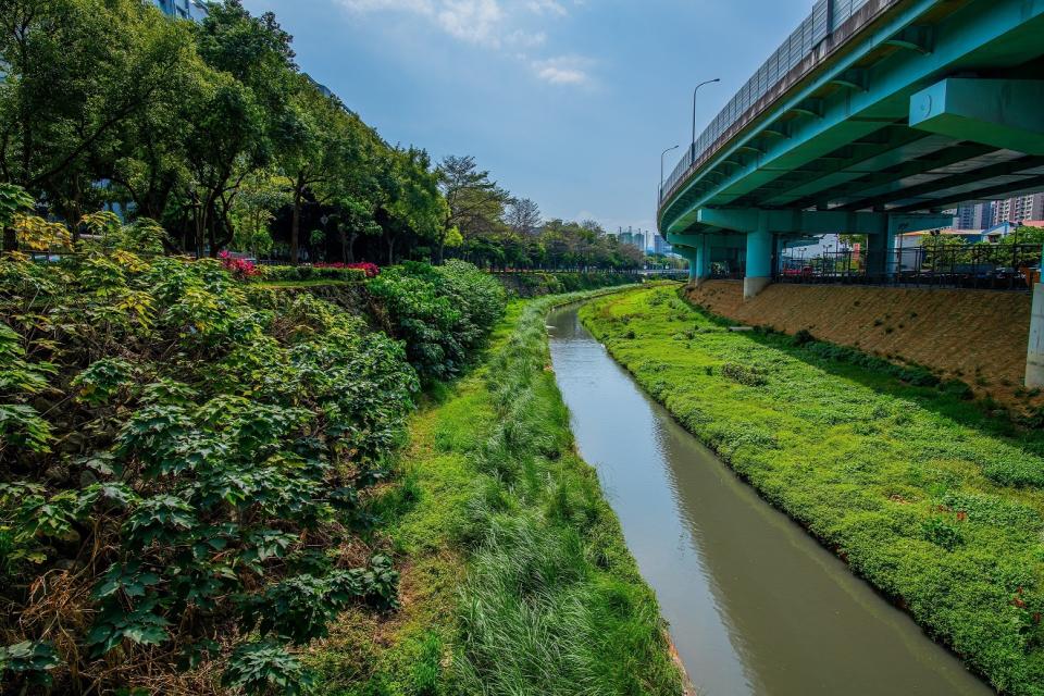 湳仔溝水質清淨綠意盎然。   圖：新北市水利局提供