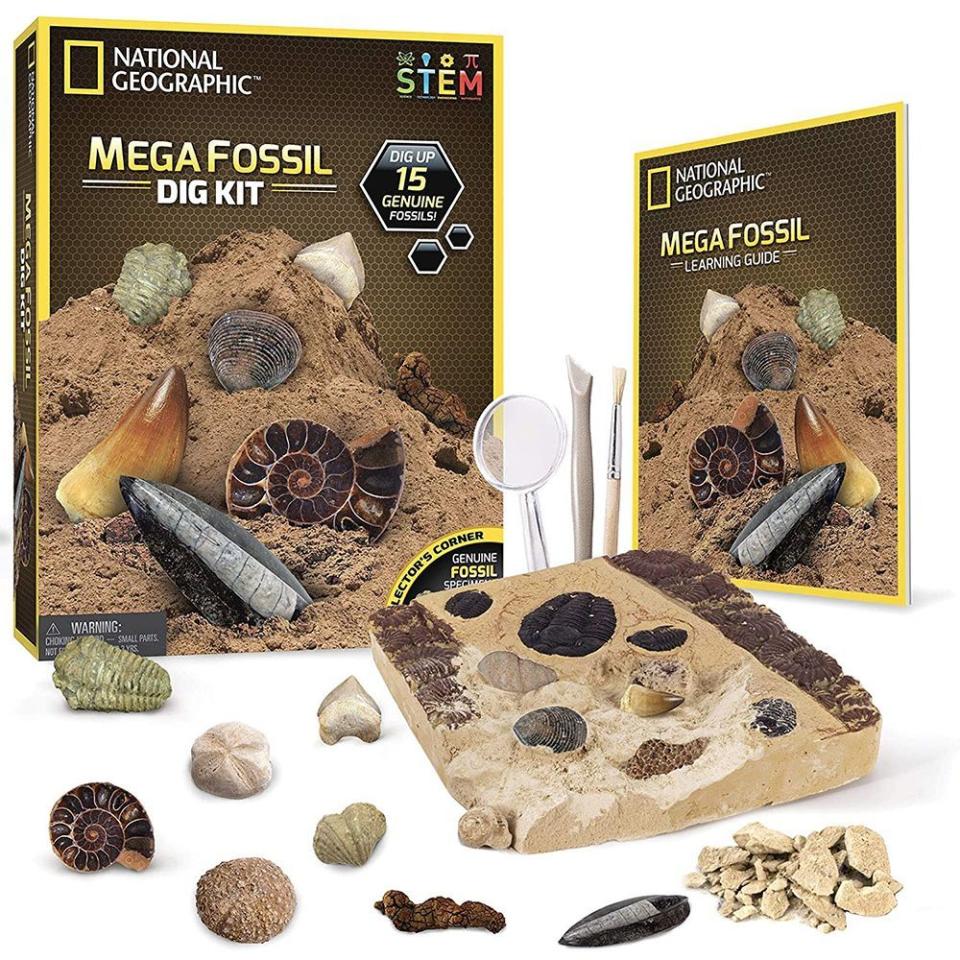 National Geographic Mega Fossil Dig Kit