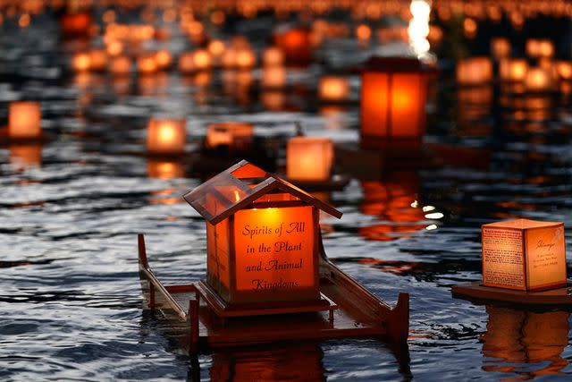 <p>Shinnyo Lantern Floating Hawaii</p>