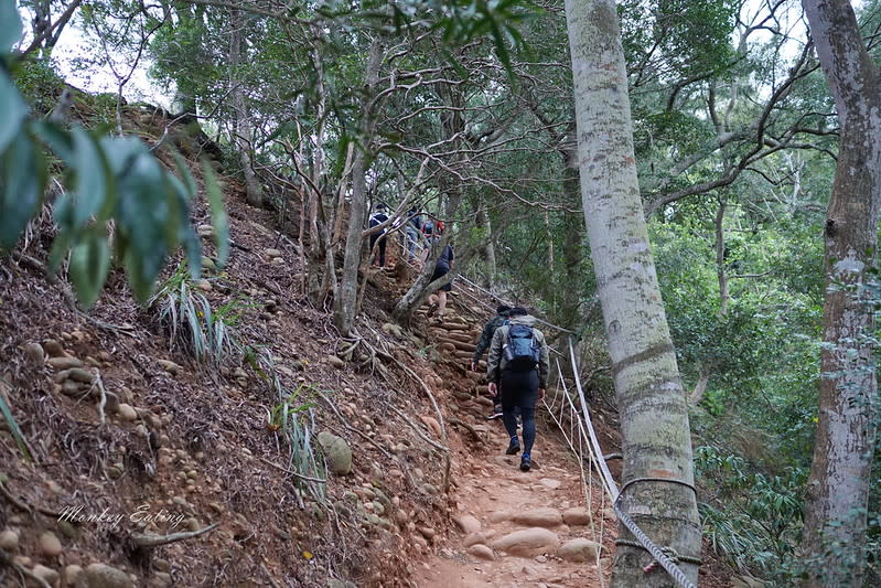 苗栗三義｜火炎山登山步道