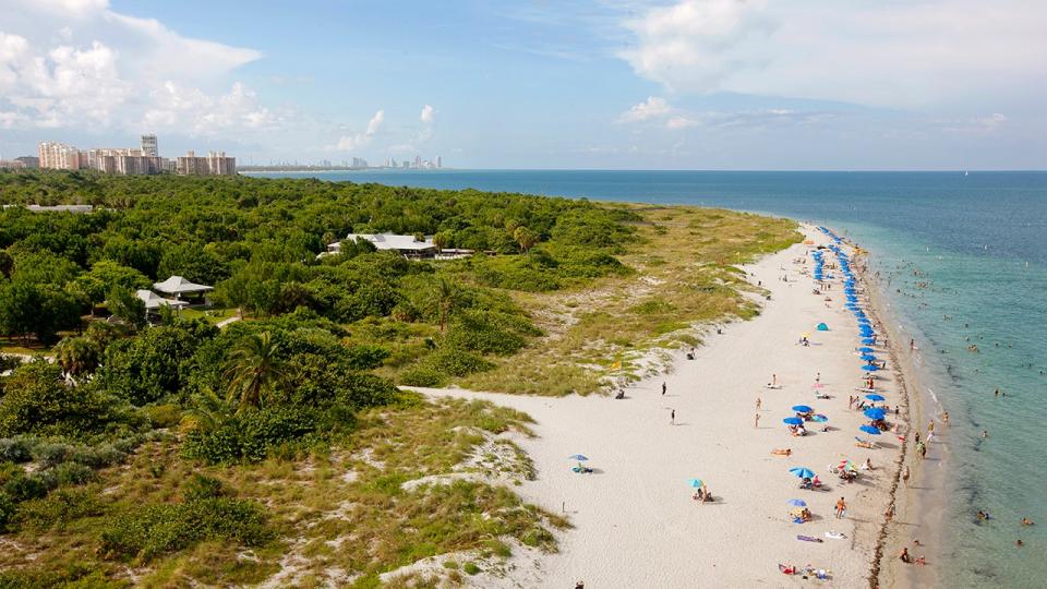 Beach and water in Key Biscayne, Florida are seen in aerial view