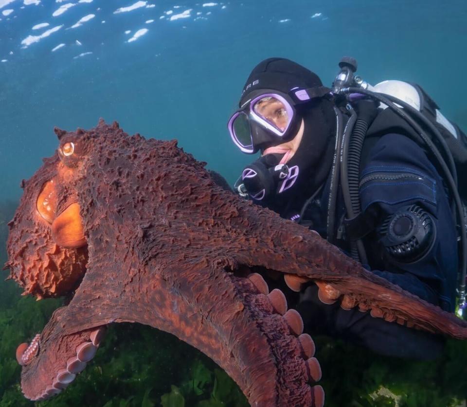 B.C. scuba diver Krystal Janicki takes a moment with a Giant Pacific Octopus. (Credit: Maxwel Hohn)