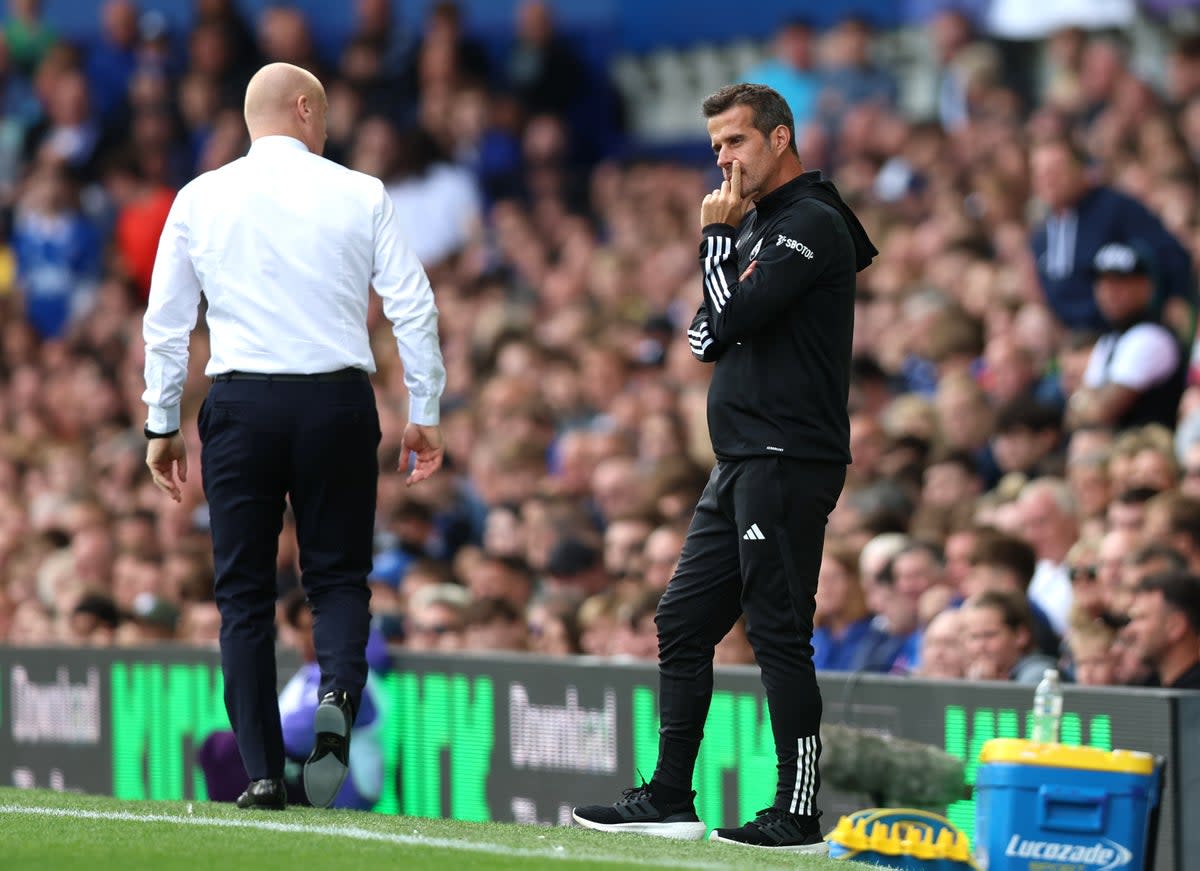 Silva was sacked by Everton - but has rebuilt his career with Fulham (Getty Images)