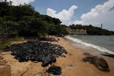 Volunteers collect crystallised palm oil on a beach at Lamma Island in Hong Kong, China August 9, 2017. REUTERS/Bobby Yip