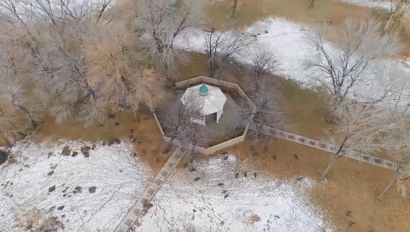 Video grab of snow in Las Vegas, Nevada