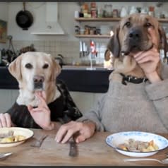 Dog Dining, Funny Video