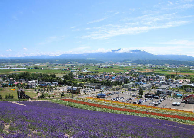 細數9處北海道花海景點 把握夏天6月 8月的絕佳賞花期 旅遊 Yahoo奇摩行動版