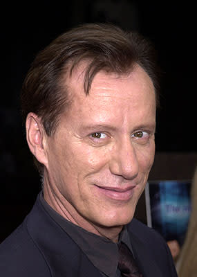 James Woods at the Westwood premiere of Dimension's Scary Movie 2