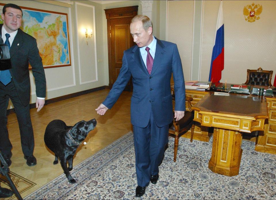 Putin pets his dog Koni&nbsp;before a meeting in the&nbsp;Novo-Ogaryovo residence outside Moscow, Russia, on March 3, 2004.