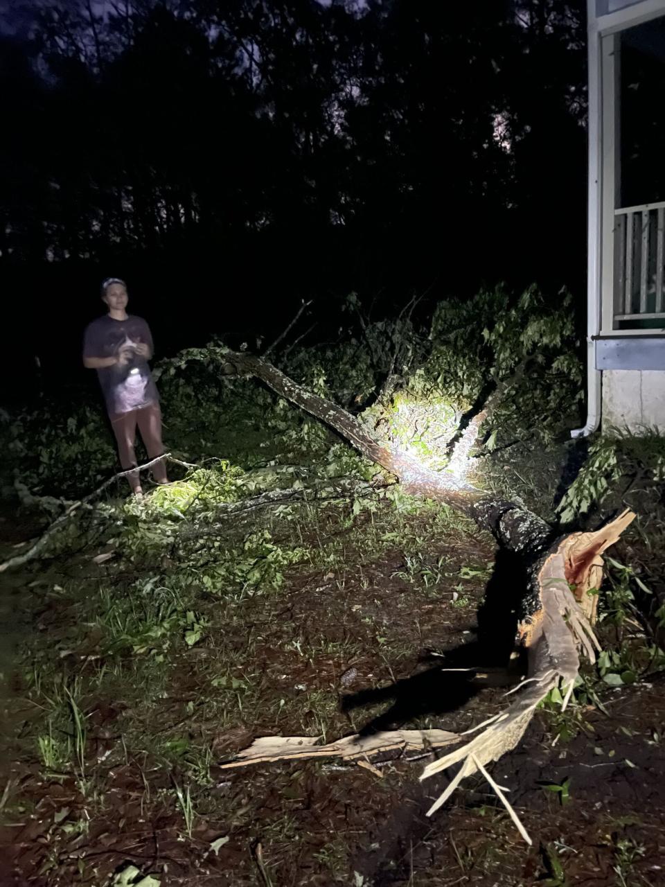 A large branch falls onto a car on Johns Island off of Chisolm Road; occurred 7:45 p.m.