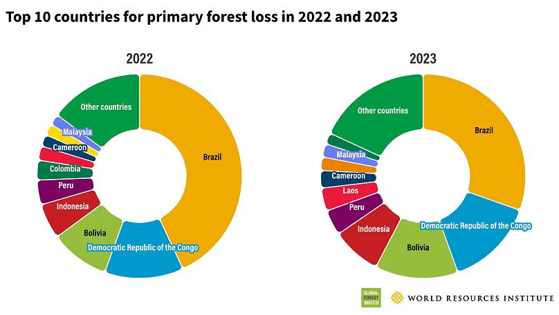 Los 10 países con mayor pérdida de bosques primarios en 2022 y 2023.