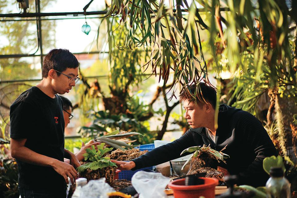 園區每週六有免費教學，教你如何把植栽上板，展現原本的立體姿態。