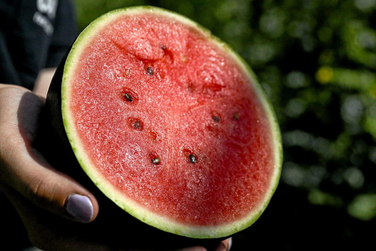 La pastèque, produit star de l'été.  - Credit:Shutterstock/SIPA / SIPA / /SIPA