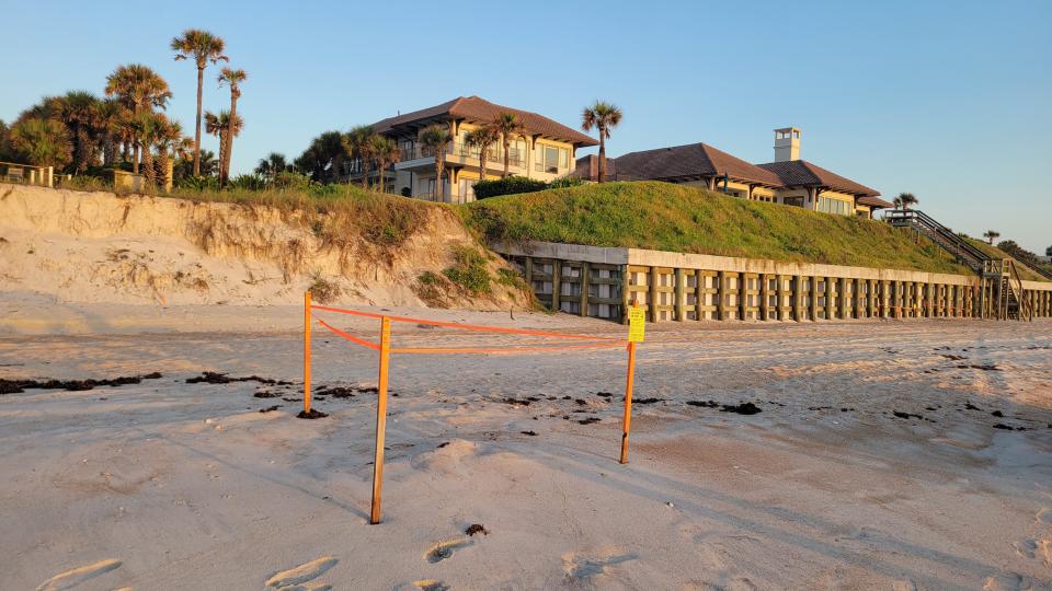 Near Mickler's Landing in St. Johns County, Florida, a sea turtle nest is marked on the flat beach in front of an eroded dune.