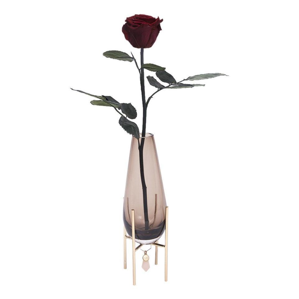 Florentina Eternity Rose