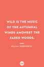 <p>Wild is the music of the autumnal winds amongst the faded woods.</p>