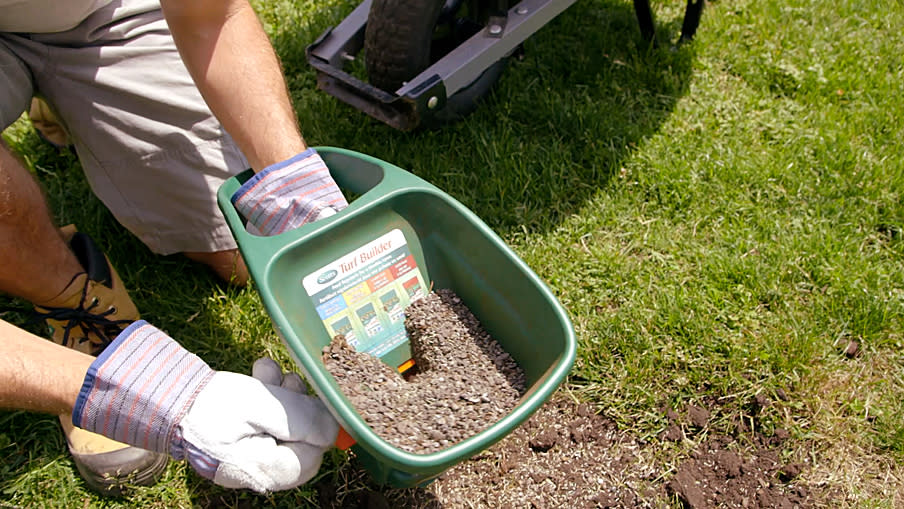 Scotts Turf Builder with handheld lawn fertilizer spreader