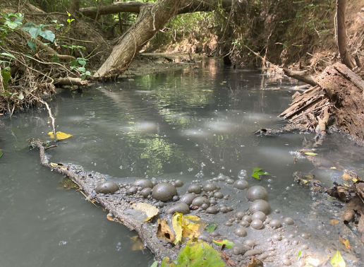 FILE - Gray water in tributary was photographed by the Environmental Protection Division for its investigation. EPD says soil amendment runoff from a Washington, Georgia farm killed nearly 1,700 fish in Little River.