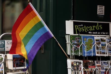 A Gay Pride flag displayed in a shop window in central Dublin in Ireland May 21, 2015. REUTERS/Cathal McNaughton