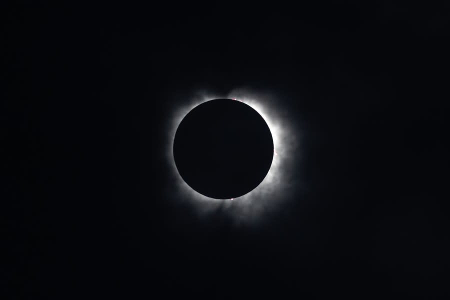 View of the eclipse from Plano, Texas, on April 8. (Courtesy: Avash Kusle)