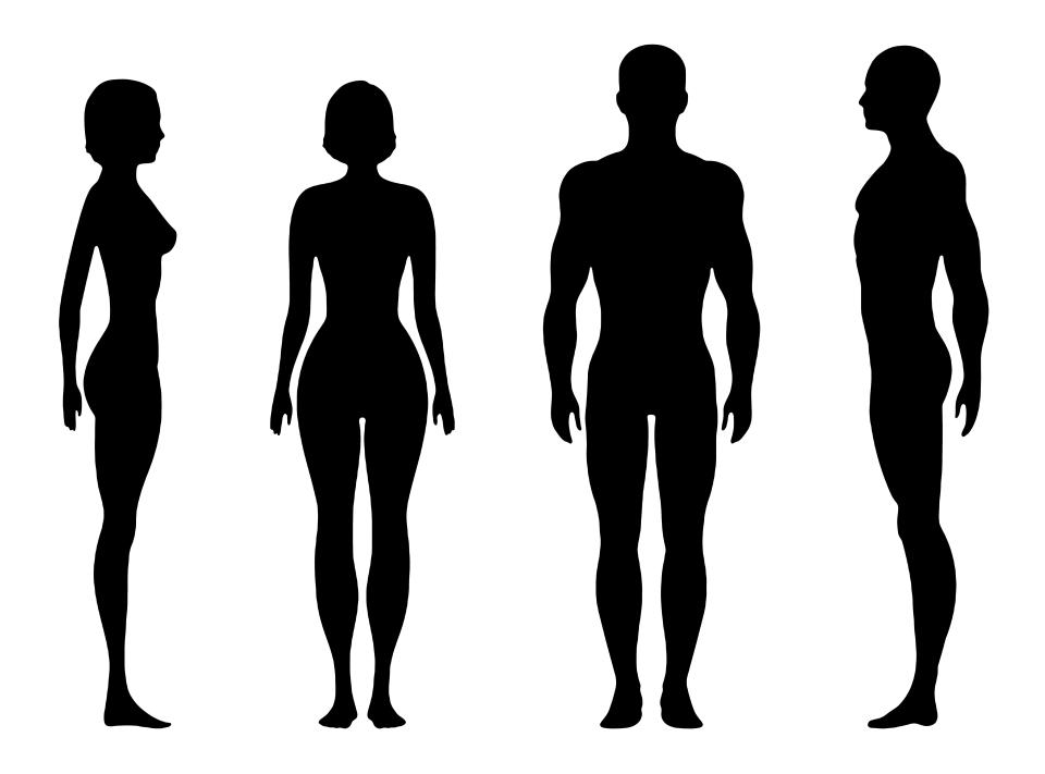 Siluetas del cuerpo humano femenino y masculino. (Foto: Getty Images)