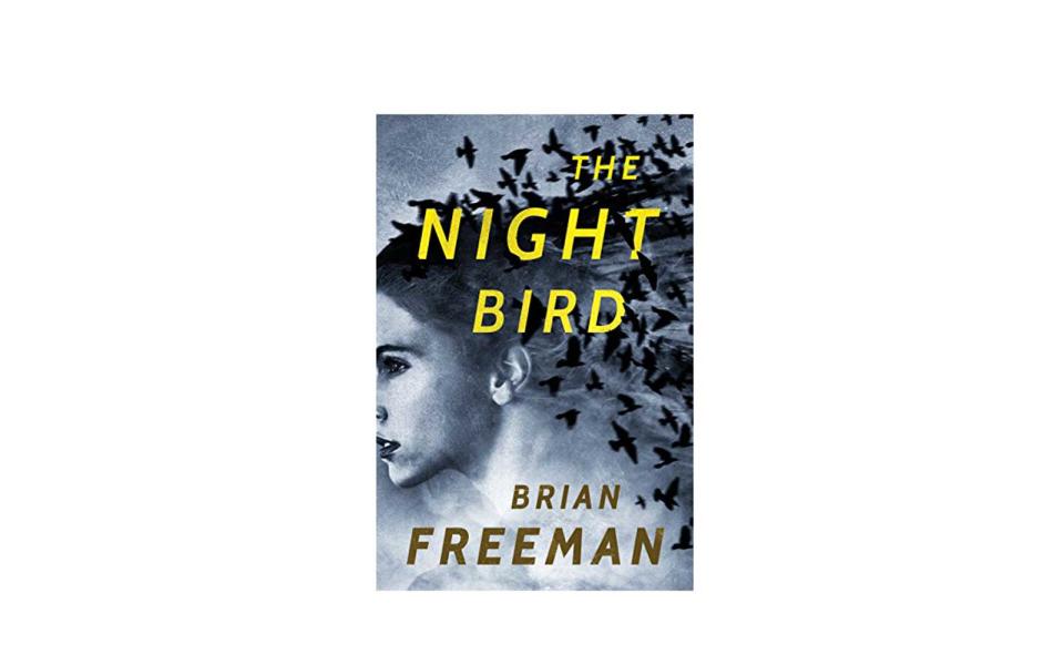 'The Night Bird' (Frost Easton Mystery, Book 1) by Brian Freeman (Thomas & Mercer)