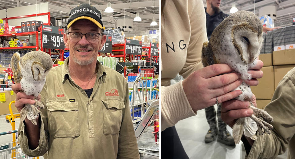 Nigel Williamson holds up the owl in the Bunnings store (left). The owl looks severely underweight (right). 