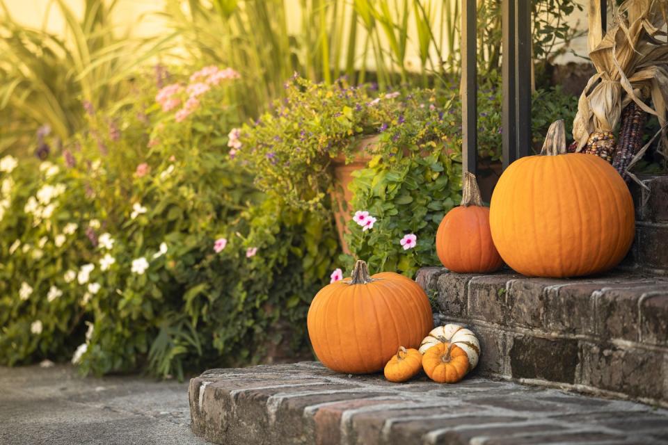 Decorate with Pumpkins