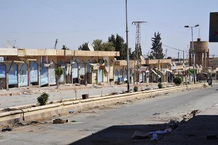 A general view is seen of Ain Issa in the suburb of Raqqa, eastern Syria September 13, 2013. REUTERS/Nour Fourat