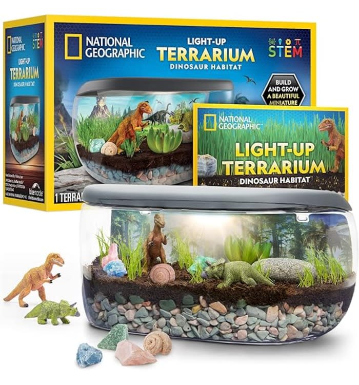 21 Best Dinosaur Toys for Kids, Toddlers, and Babies in 2024