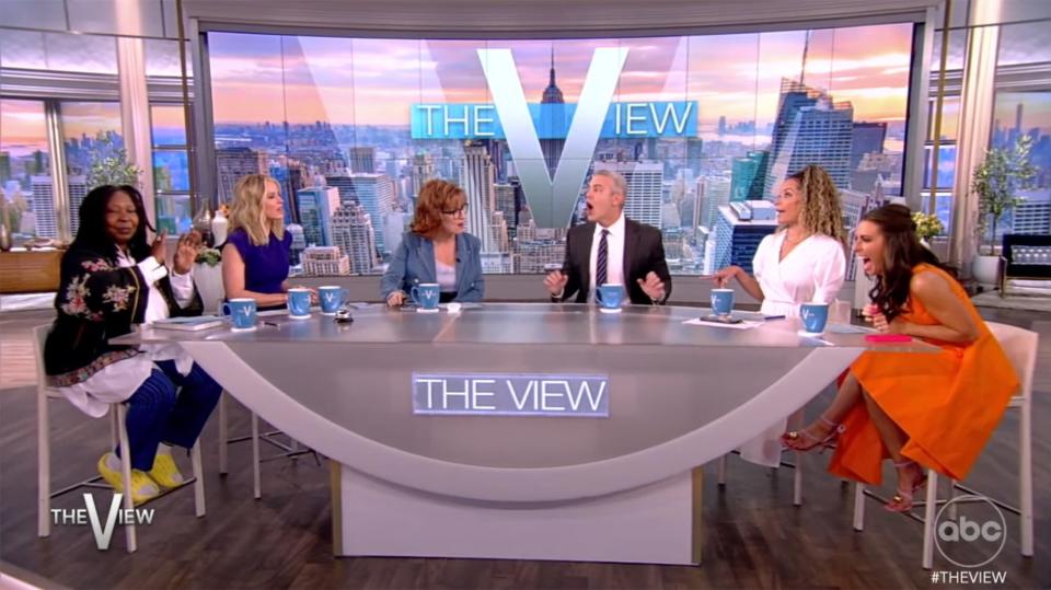 Whoopi Goldberg hilariously confronts Andy Cohen about Fart Gate on 'The View'