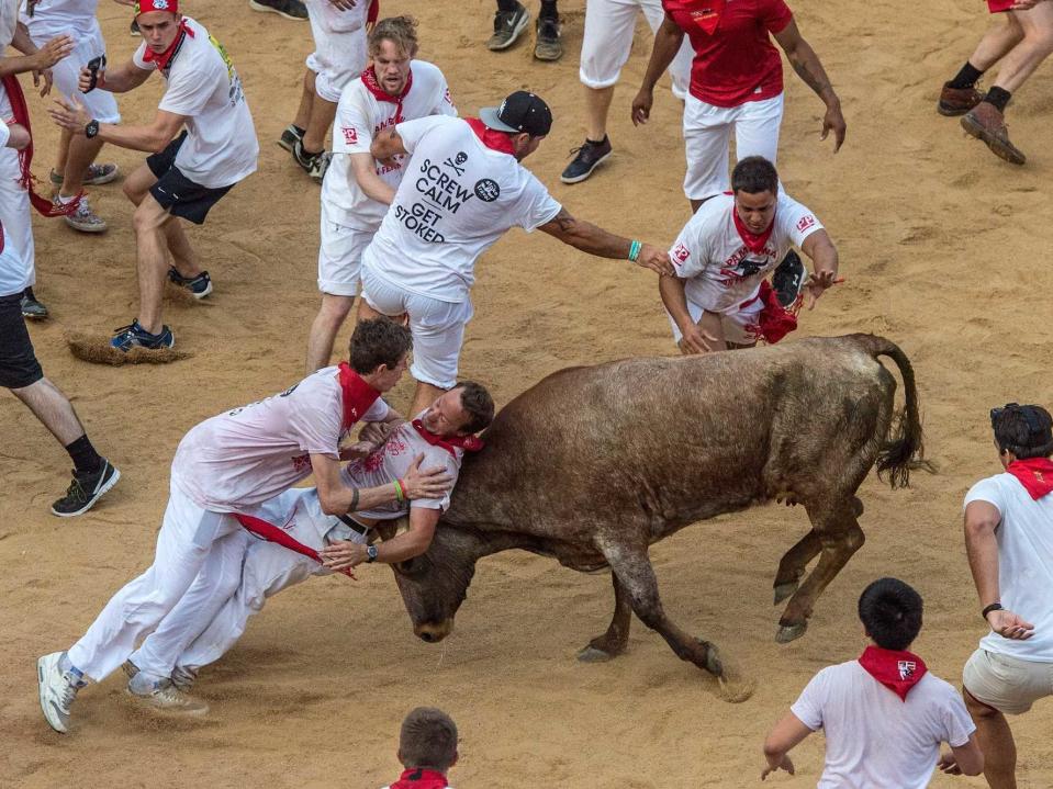 Bull Gore San Fermin Festival 