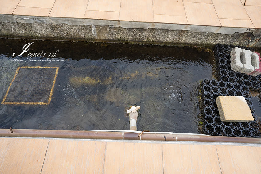 宜蘭｜大塭觀光休閒養殖區/輕親魚朶