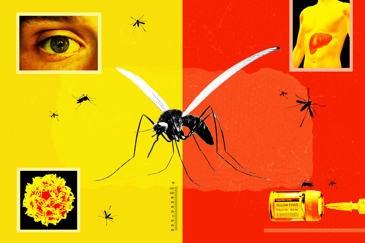 Do I need to worry about yellow fever?