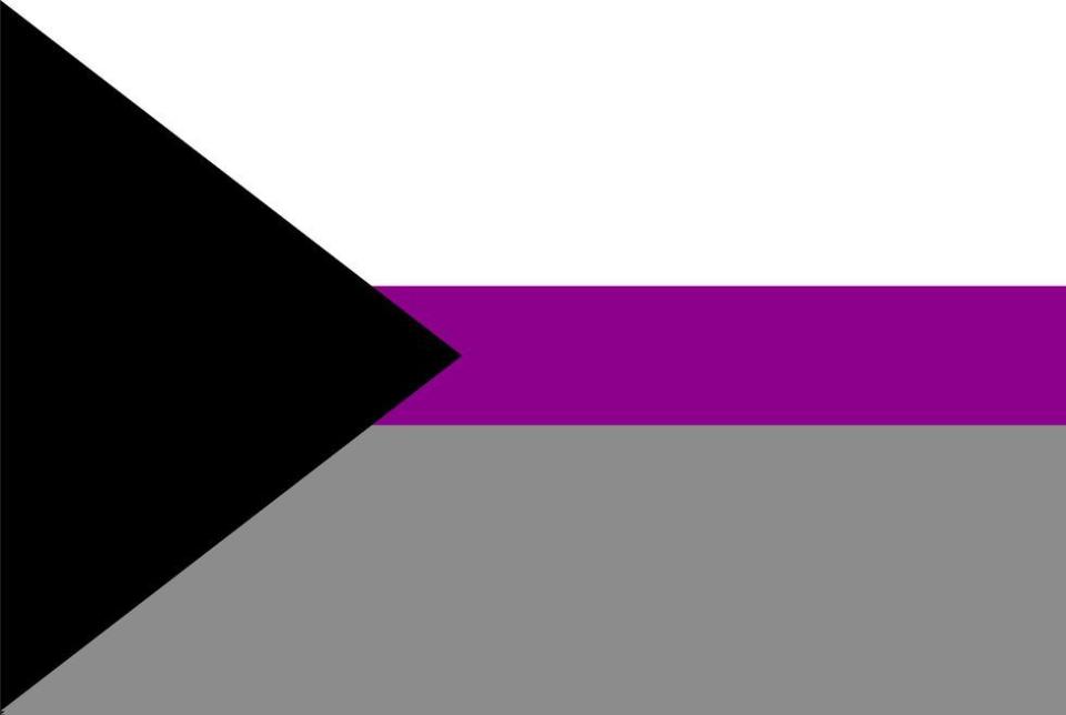 11) Demisexual Flag