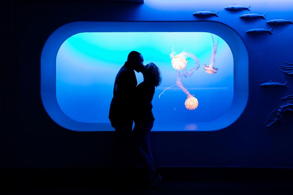 The couple kissing against an undersea backdrop