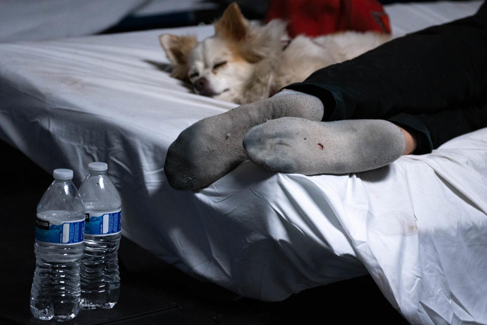 A homeless person and his dog sleep on their bunk in the St. Vincent de Paul Shelter in Phoenix on June 3, 2022.