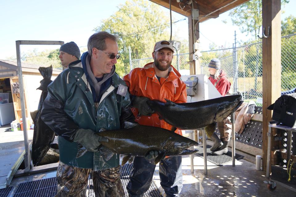 Richard DuBois (back left), Brad Eggold and Aaron Schiller handle chinook salmon while Cheryl Masterson (back right) records data Oct. 8 at the Root River Steelhead Facility in Racine. All are members of the Wisconsin Department of Natural Resources fisheries staff.